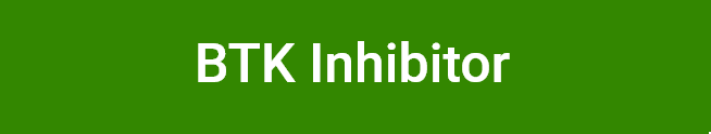 BTK Inhibitor